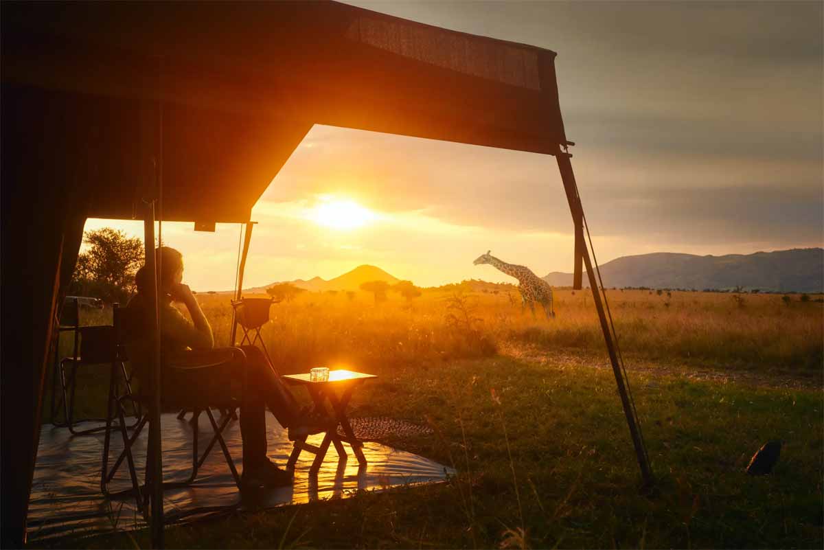 Image de présentation de l'article : Viajes y Safari en Tanzania
