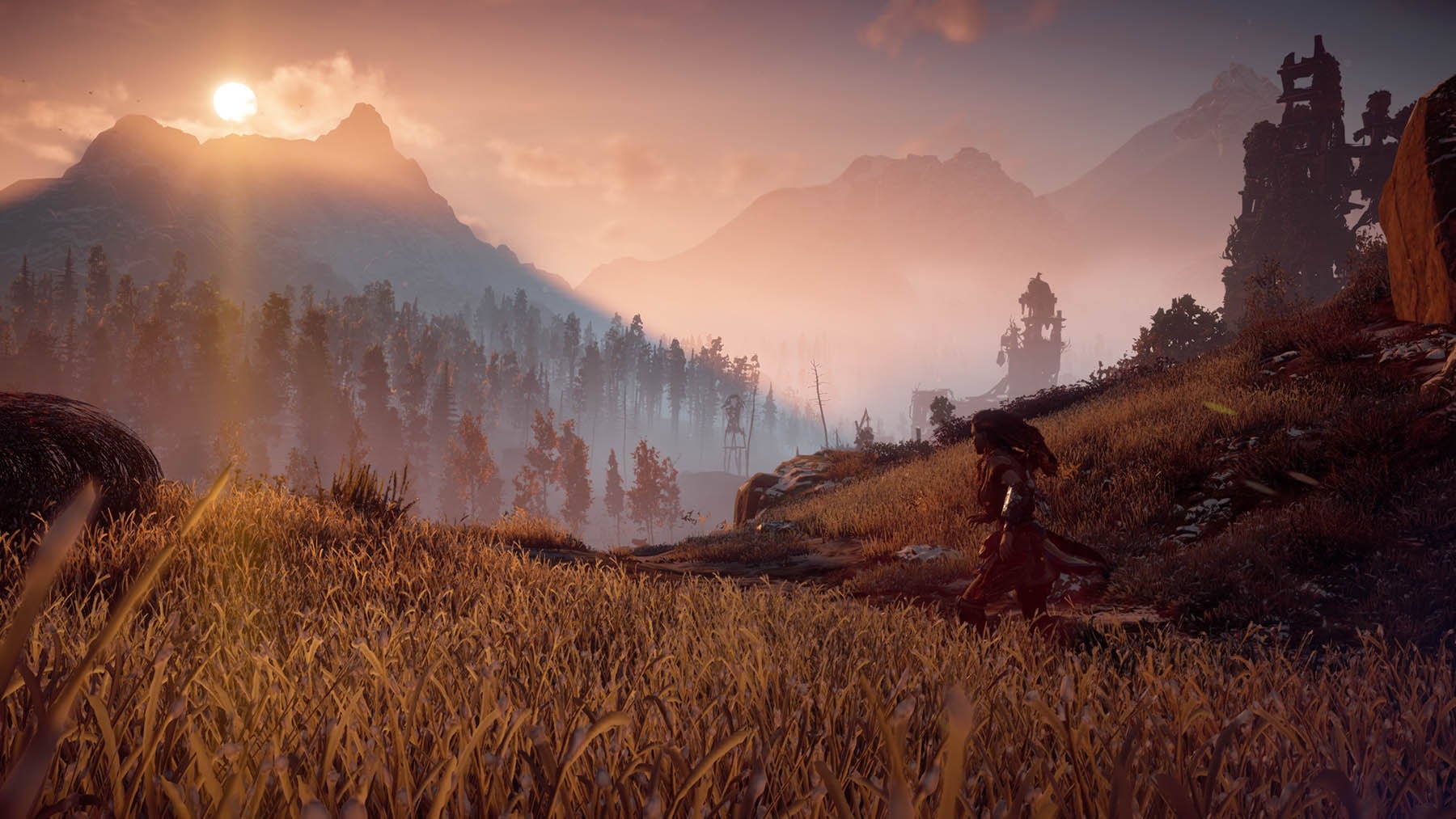 Image montrant le paysage vaste du jeu Horizon Zéro Dawn